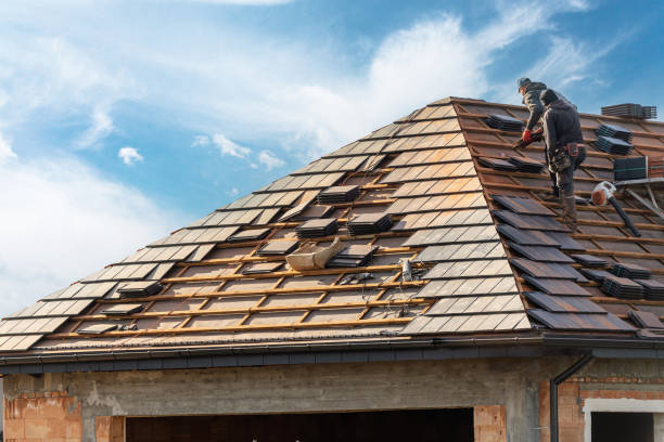 Best Roof Maintenance and Cleaning  in Estancia, NM